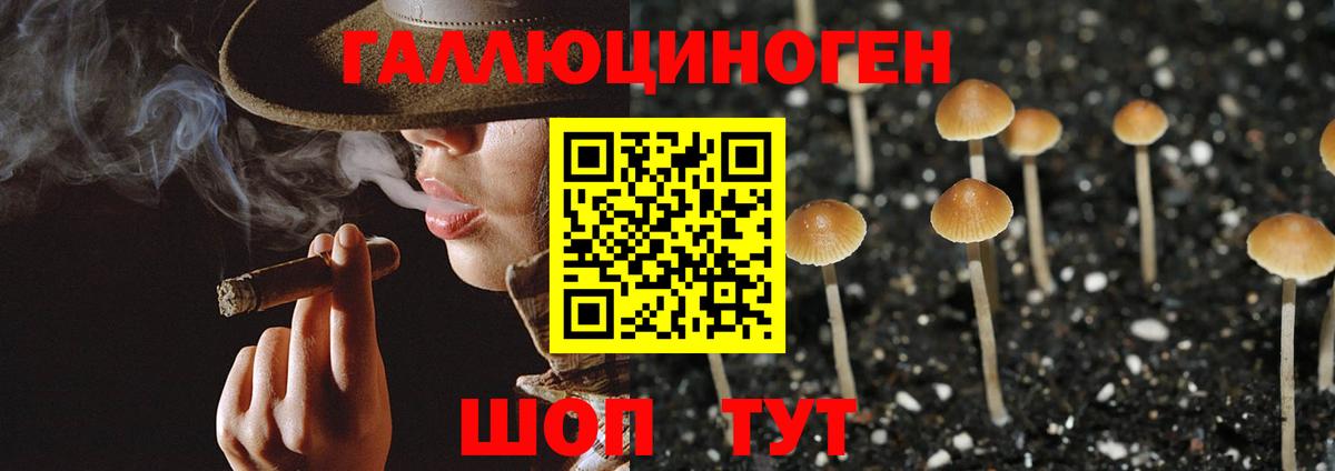 Галлюциногенные грибы Cubensis  Вход с VPN  Вологда  Псилоцибиновые грибы мицелий 